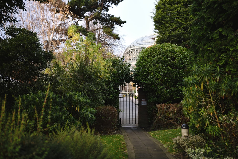 a white gate surrounded by trees and bushes