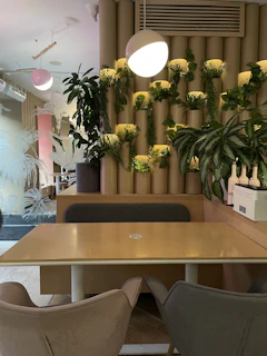 Stylish break area with contemporary furniture and natural plants