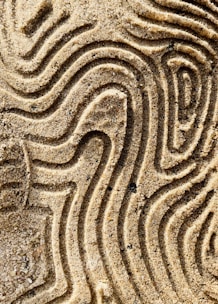a close up of a pattern in the sand