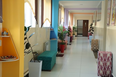 View of the hostel’s colorful hallway with murals and potted cacti along the walls.