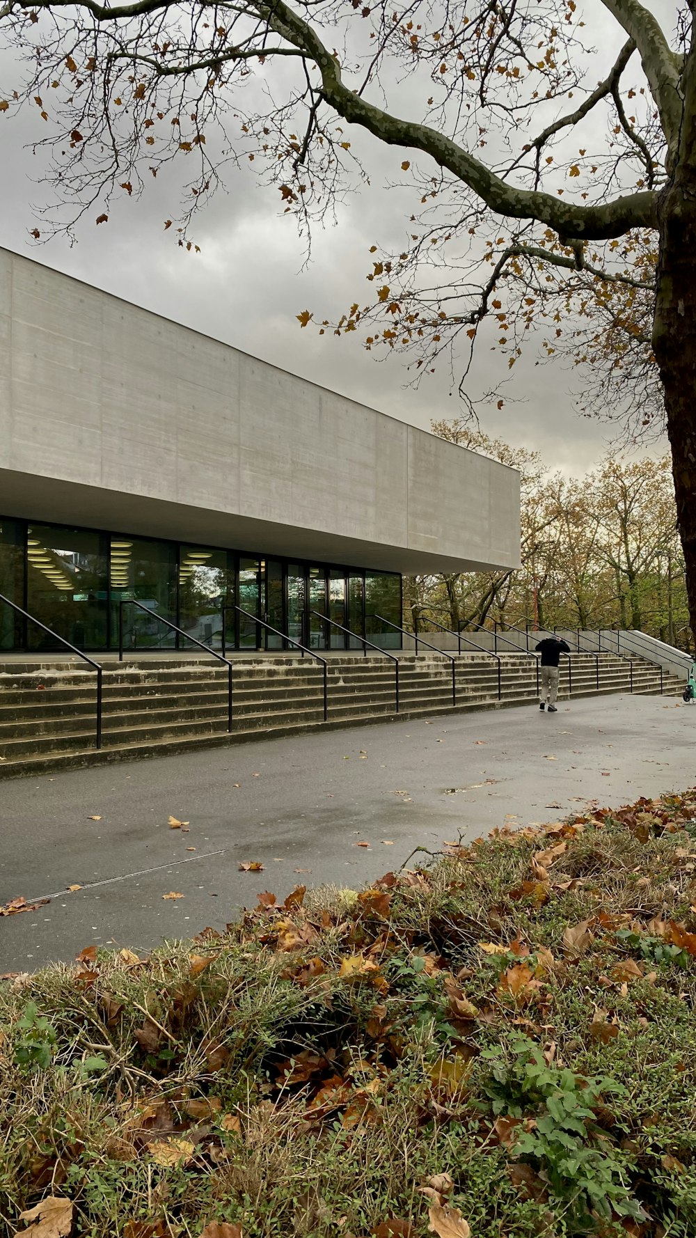 a large building with a tree in front of it