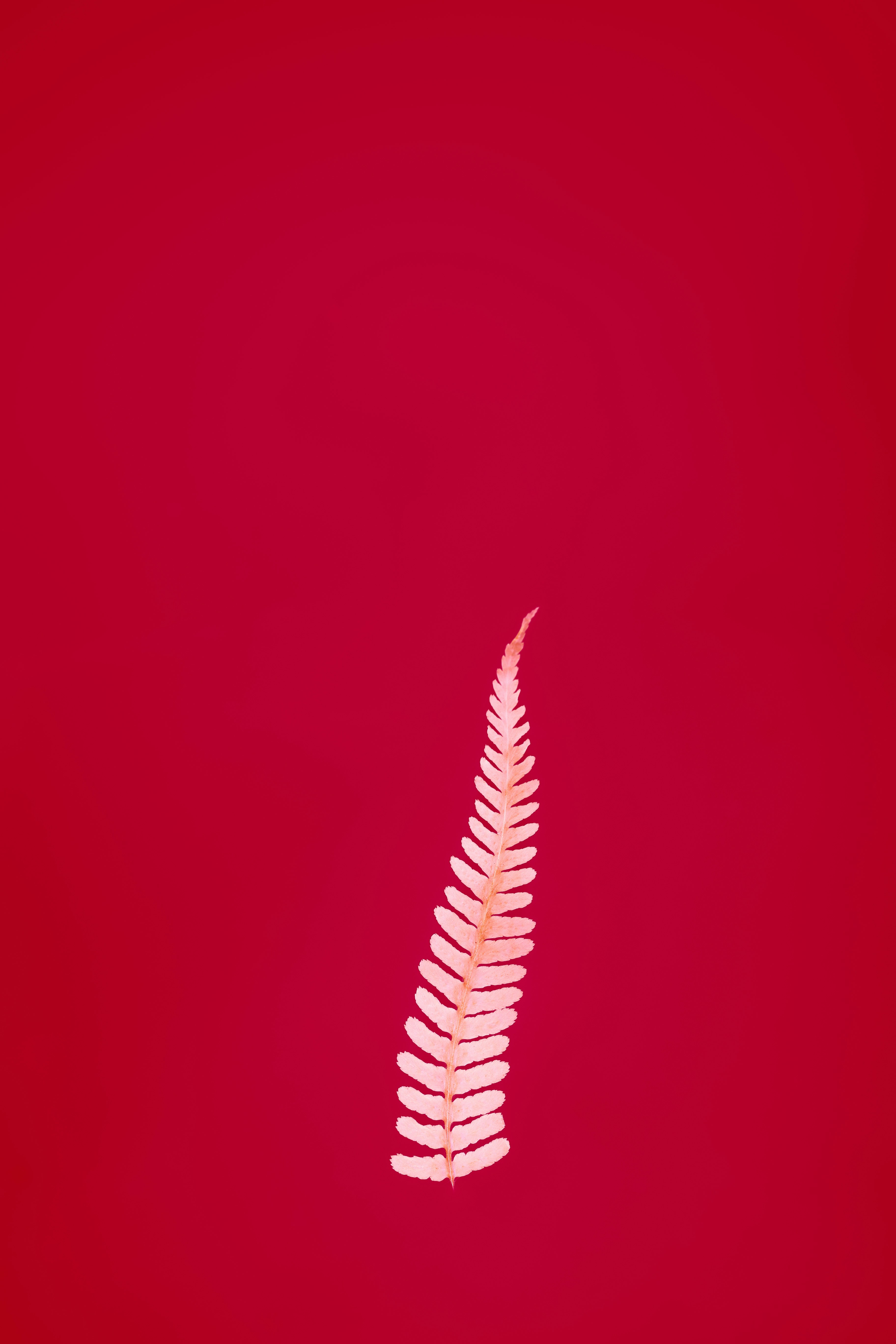 Réalisation 6