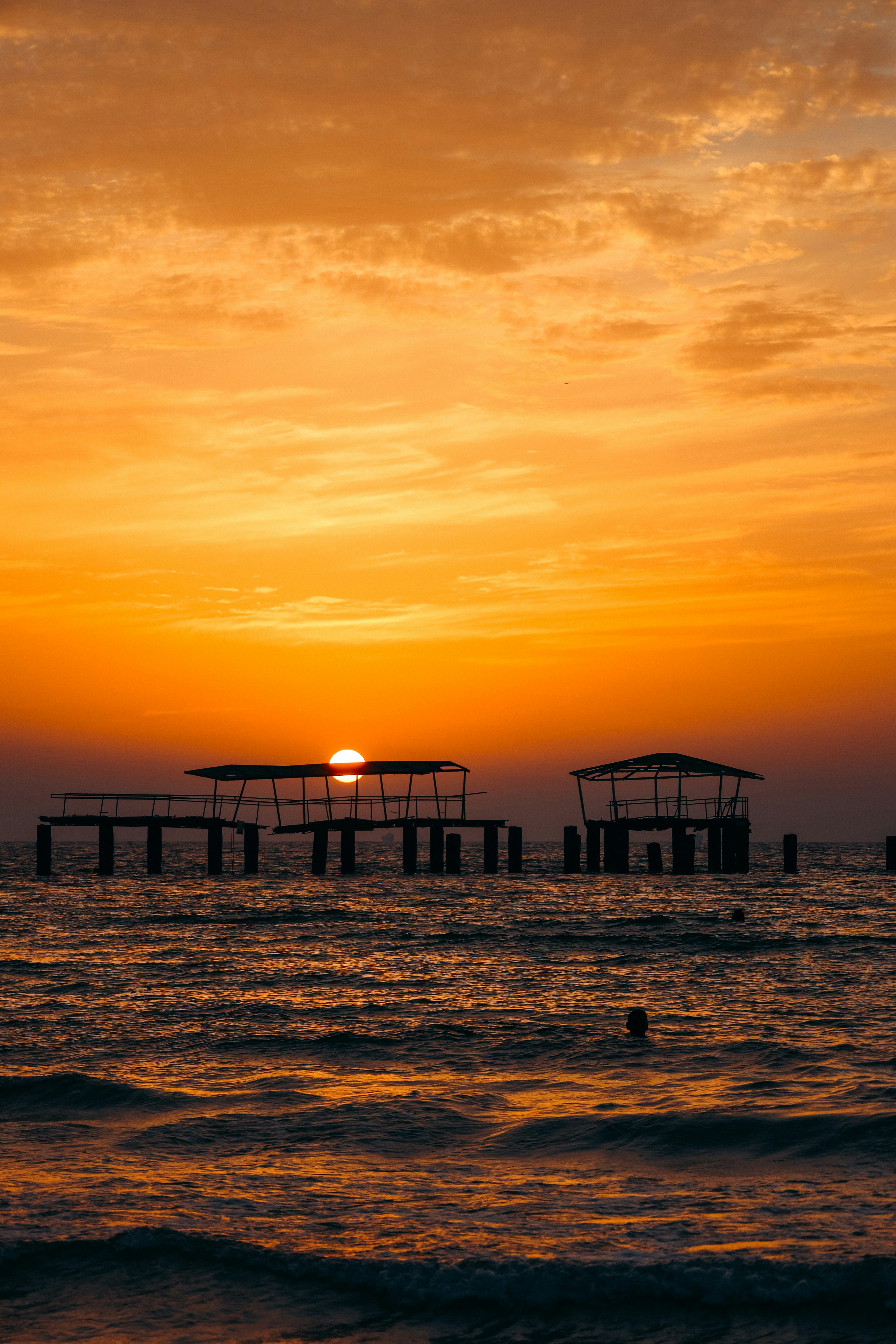 Photo by himo_beast1996