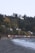 A freight train travels along a railway line beside a rocky beach. The foreground features a pebble-covered shoreline with waves lapping against it. In the background, there are houses nestled among dense trees on a hillside, showcasing autumn foliage with various shades of yellow and green under a clear sky.