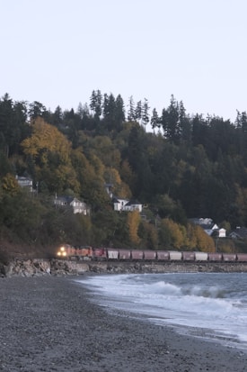 A freight train travels along a railway line beside a rocky beach. The foreground features a pebble-covered shoreline with waves lapping against it. In the background, there are houses nestled among dense trees on a hillside, showcasing autumn foliage with various shades of yellow and green under a clear sky.