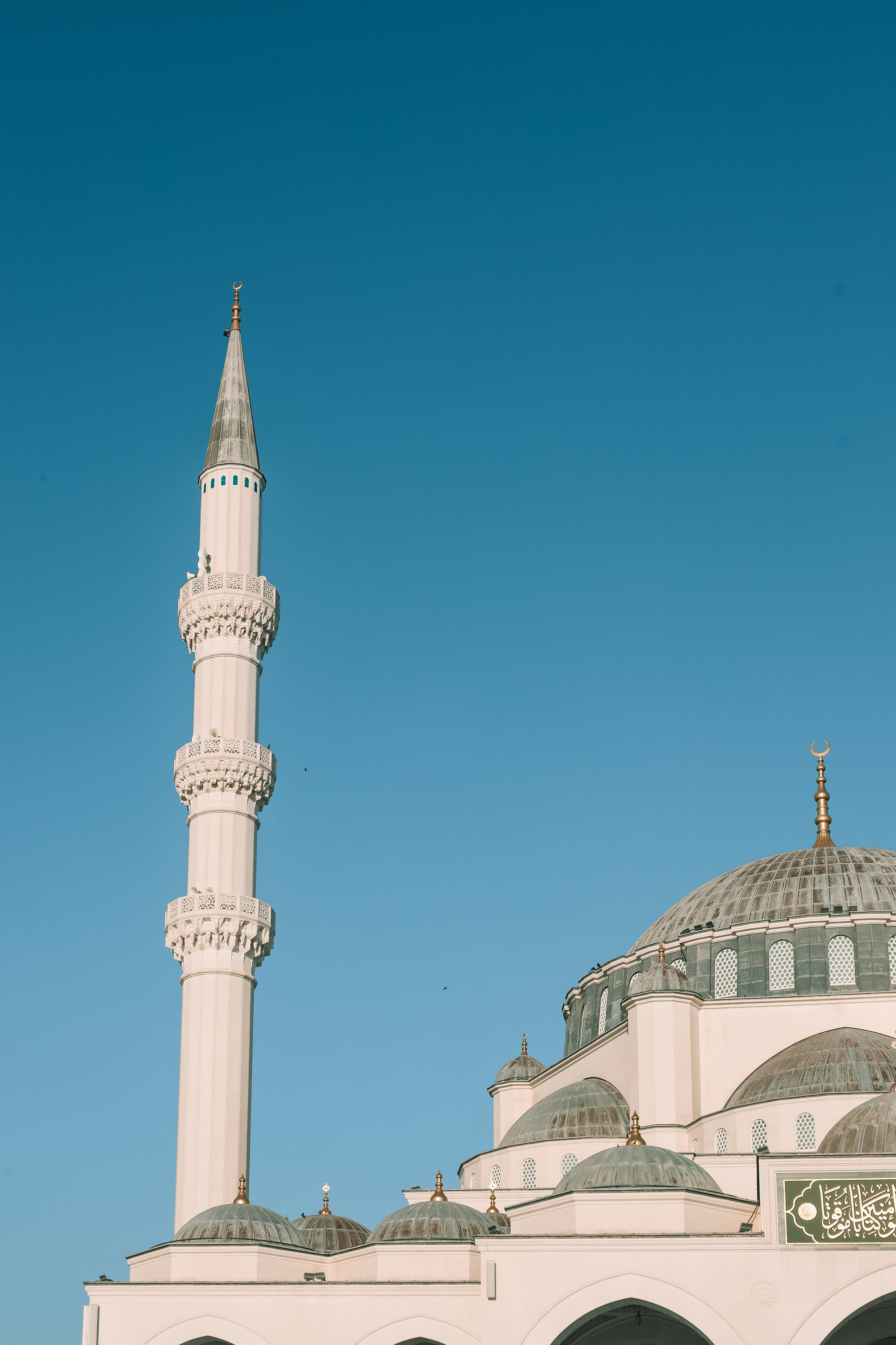 Photo by himo_beast1996