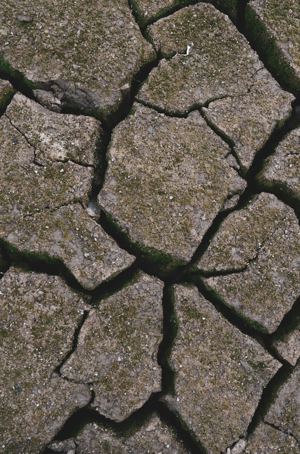 a cell phone laying on top of a cracked ground