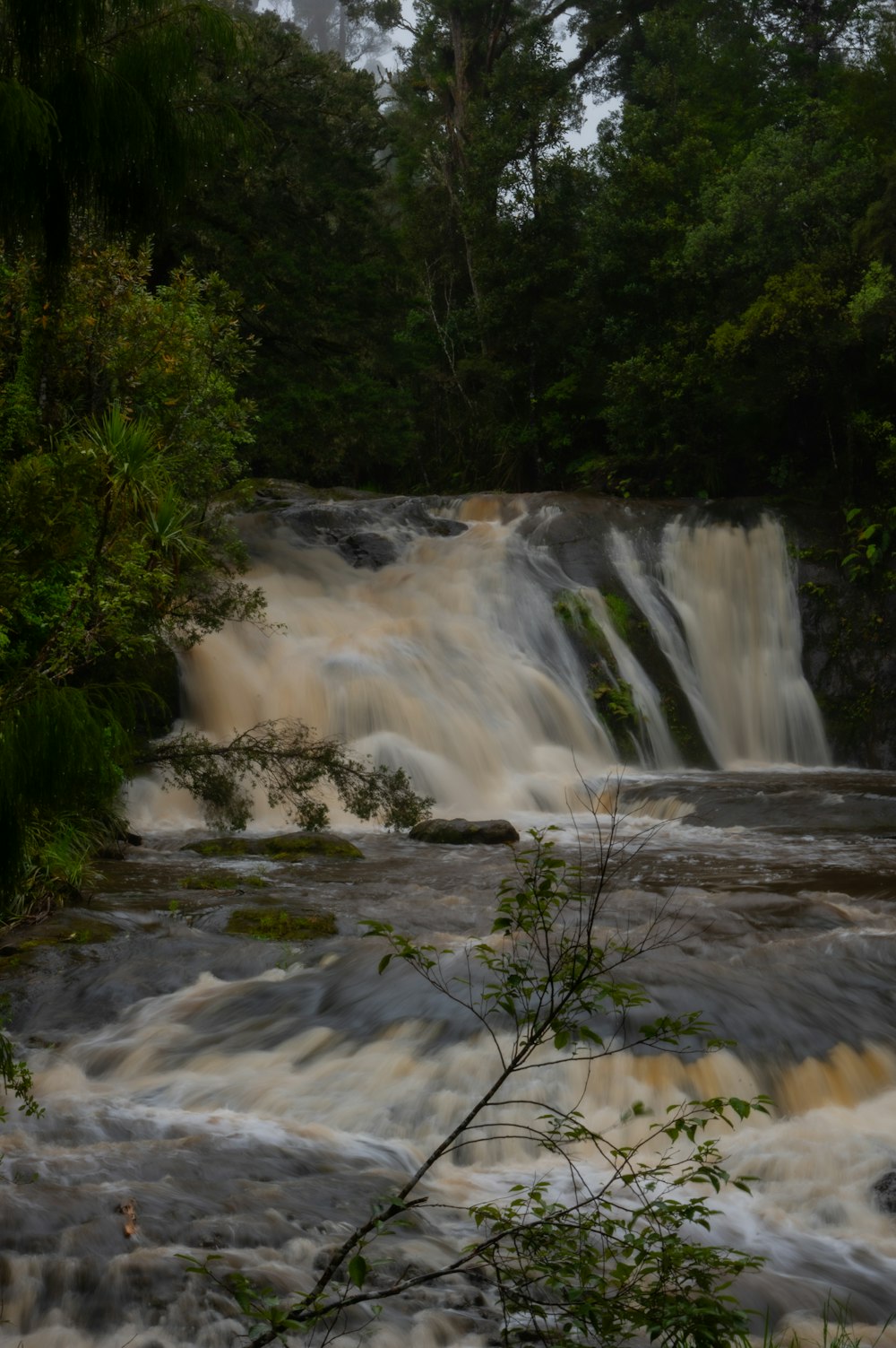 a large waterfall in the middle of a forest