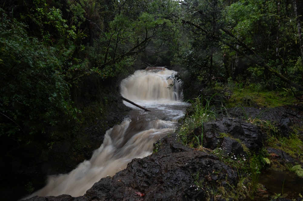 a small waterfall in the middle of a forest