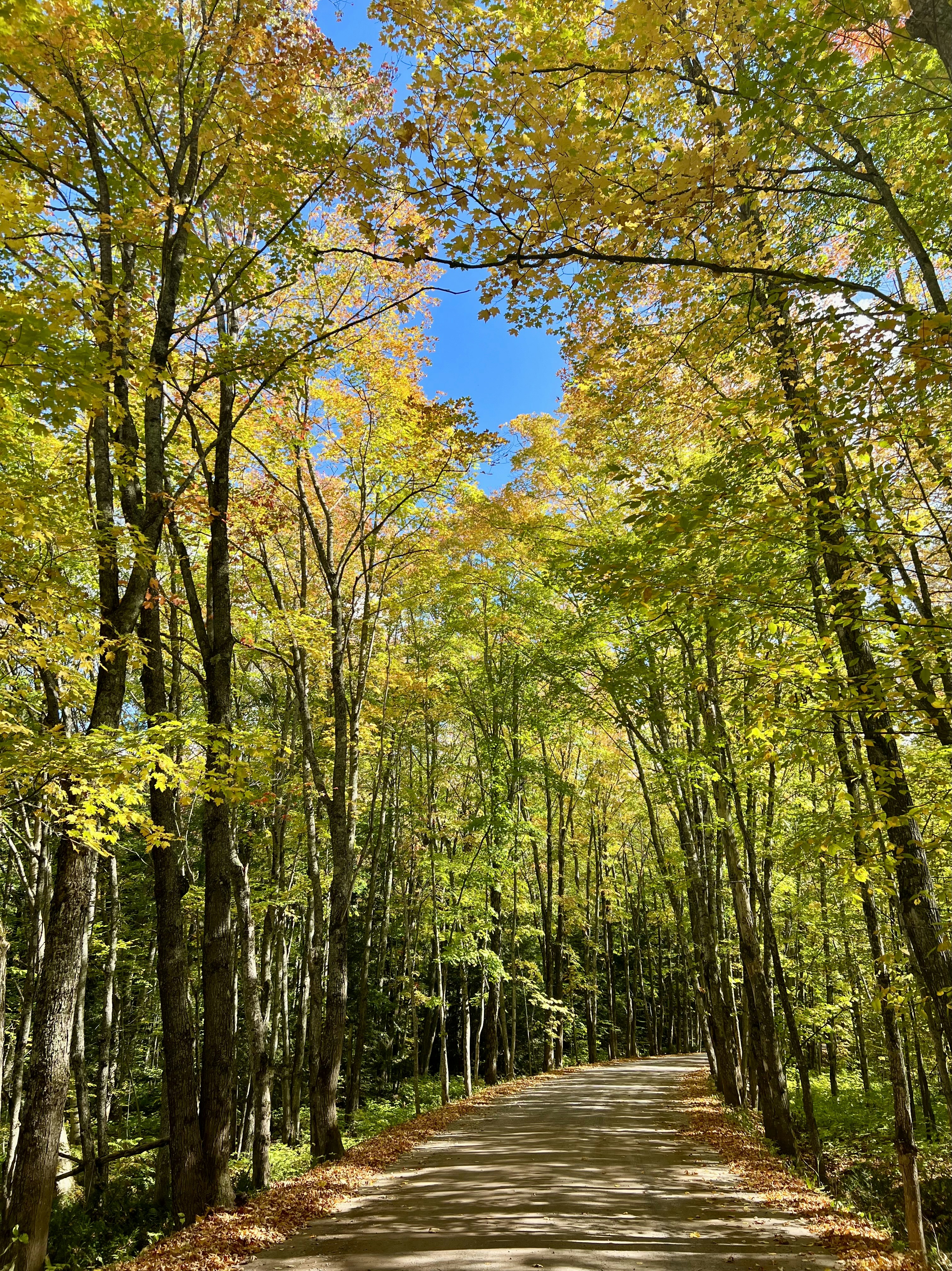 Photo by mike_loftus