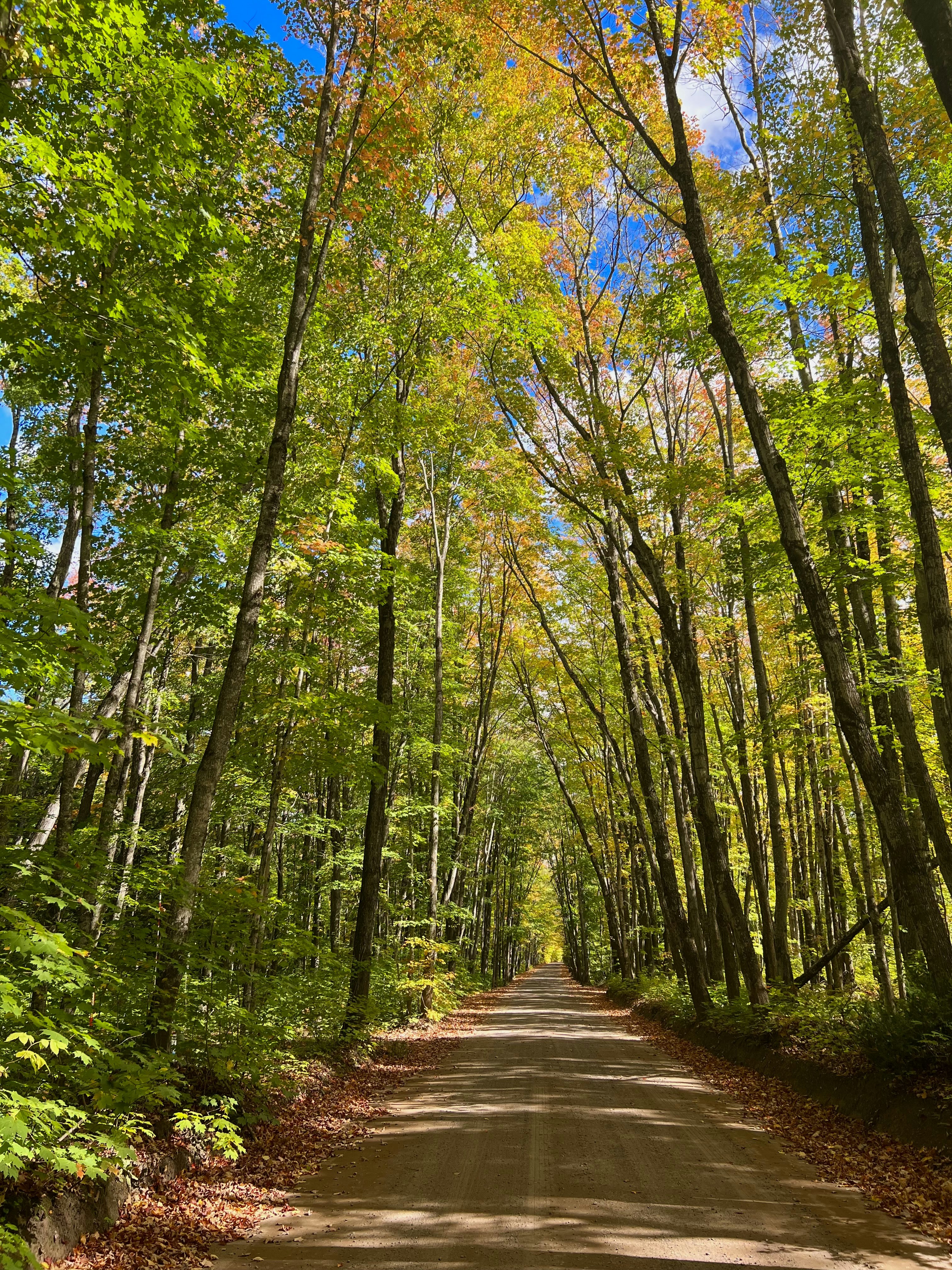 Photo by mike_loftus