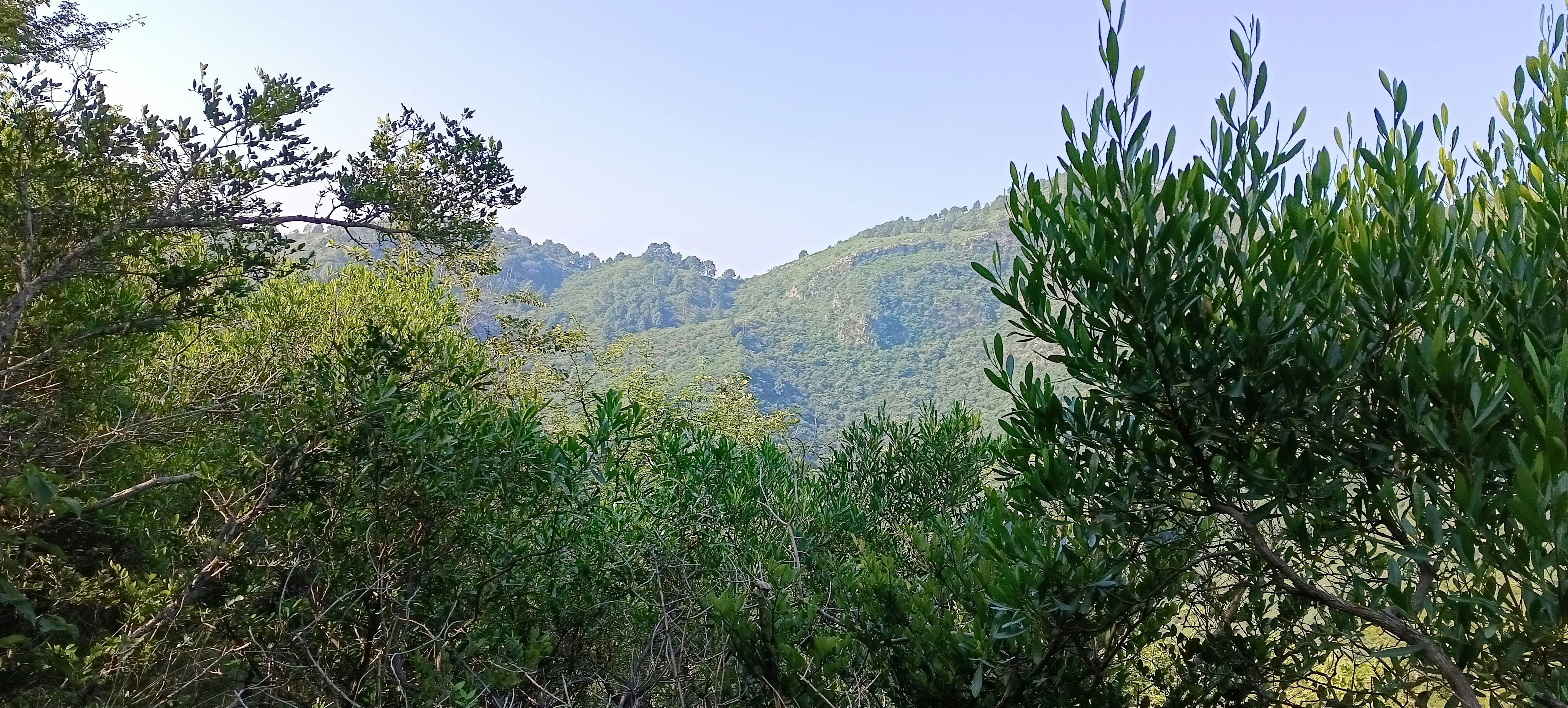 Photo by muhammad046