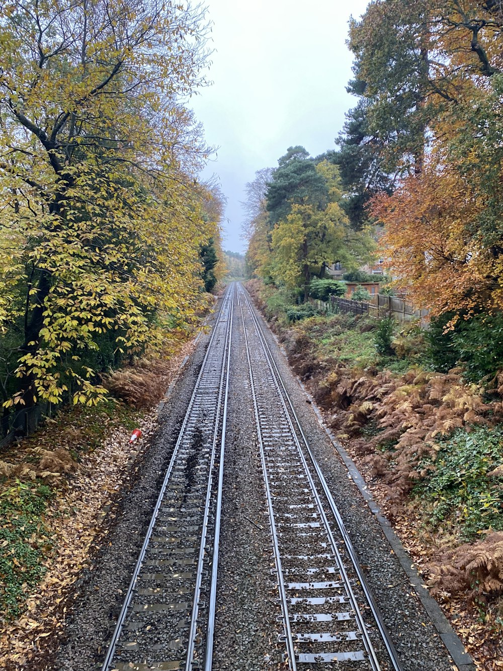 a train track surrounded by trees in the fall