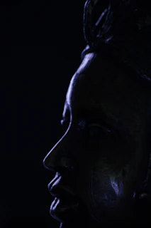 a close up of a statue of a person