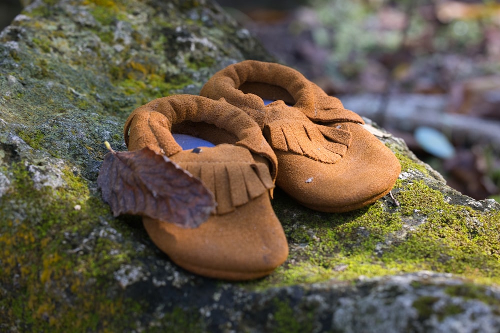 a pair of baby shoes sitting on top of a moss covered rock
