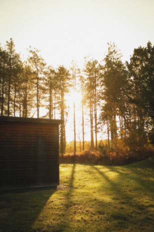Sunlight filtering through tall trees casting gentle shadows over a spacious plot ready for building.