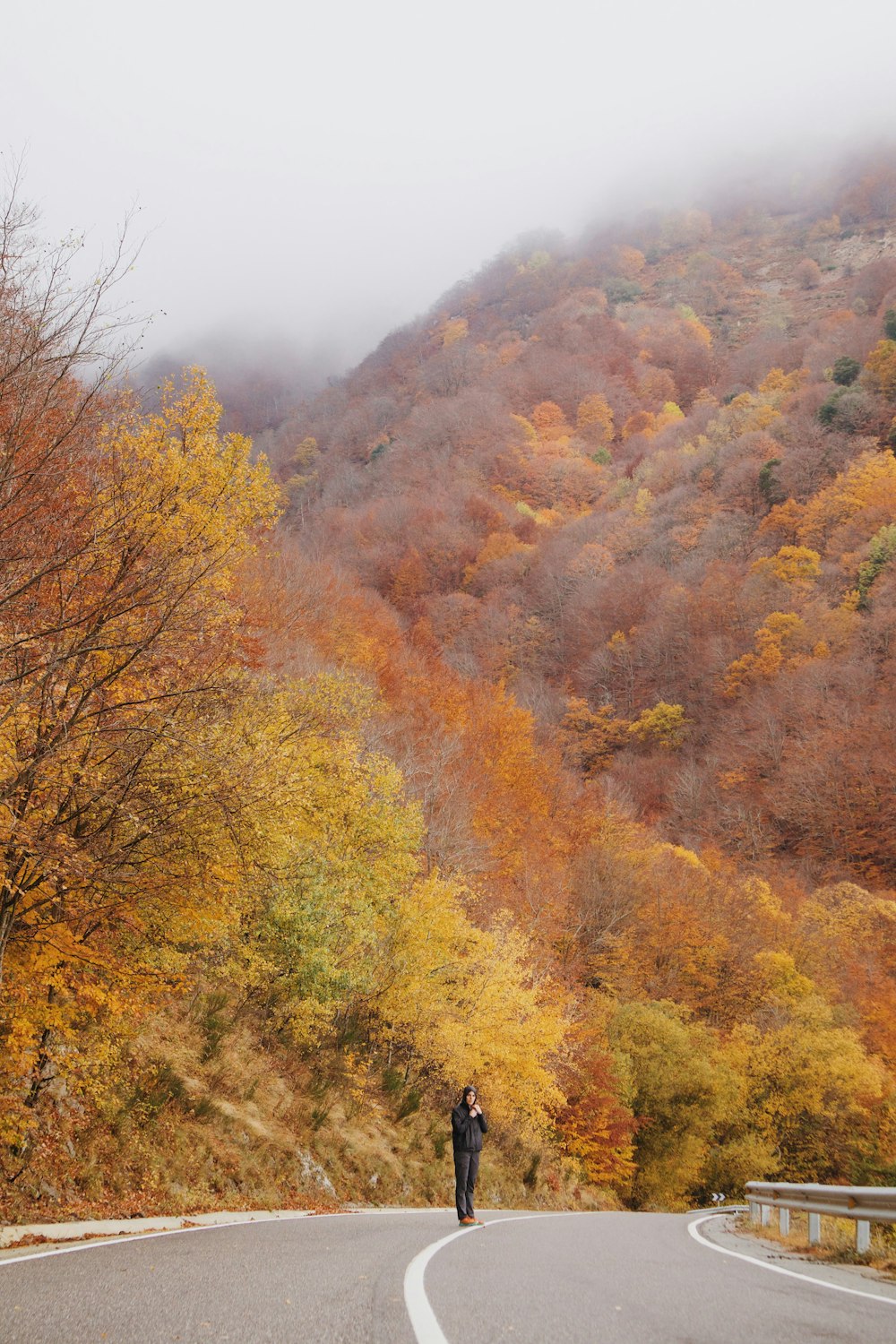 a man standing on the side of a road next to a forest