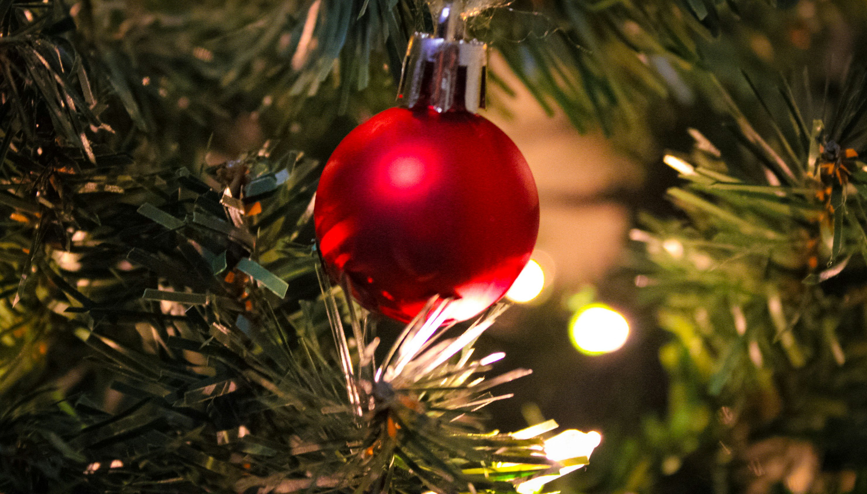 Photo by themushroomphotographer