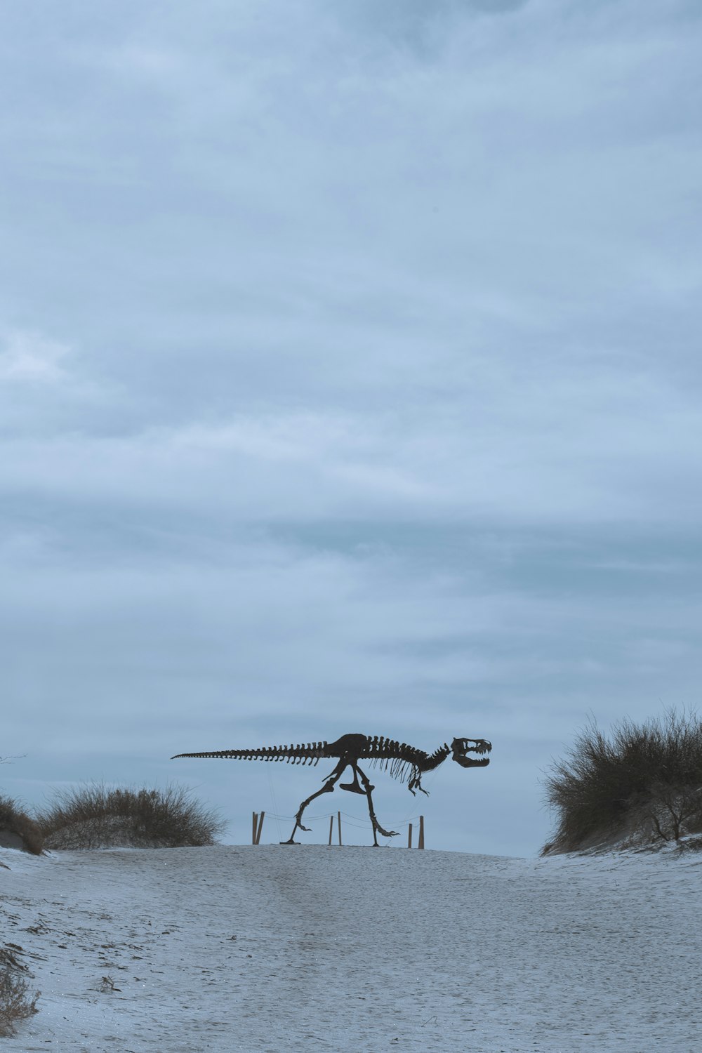 a sculpture of a dinosaur on a beach