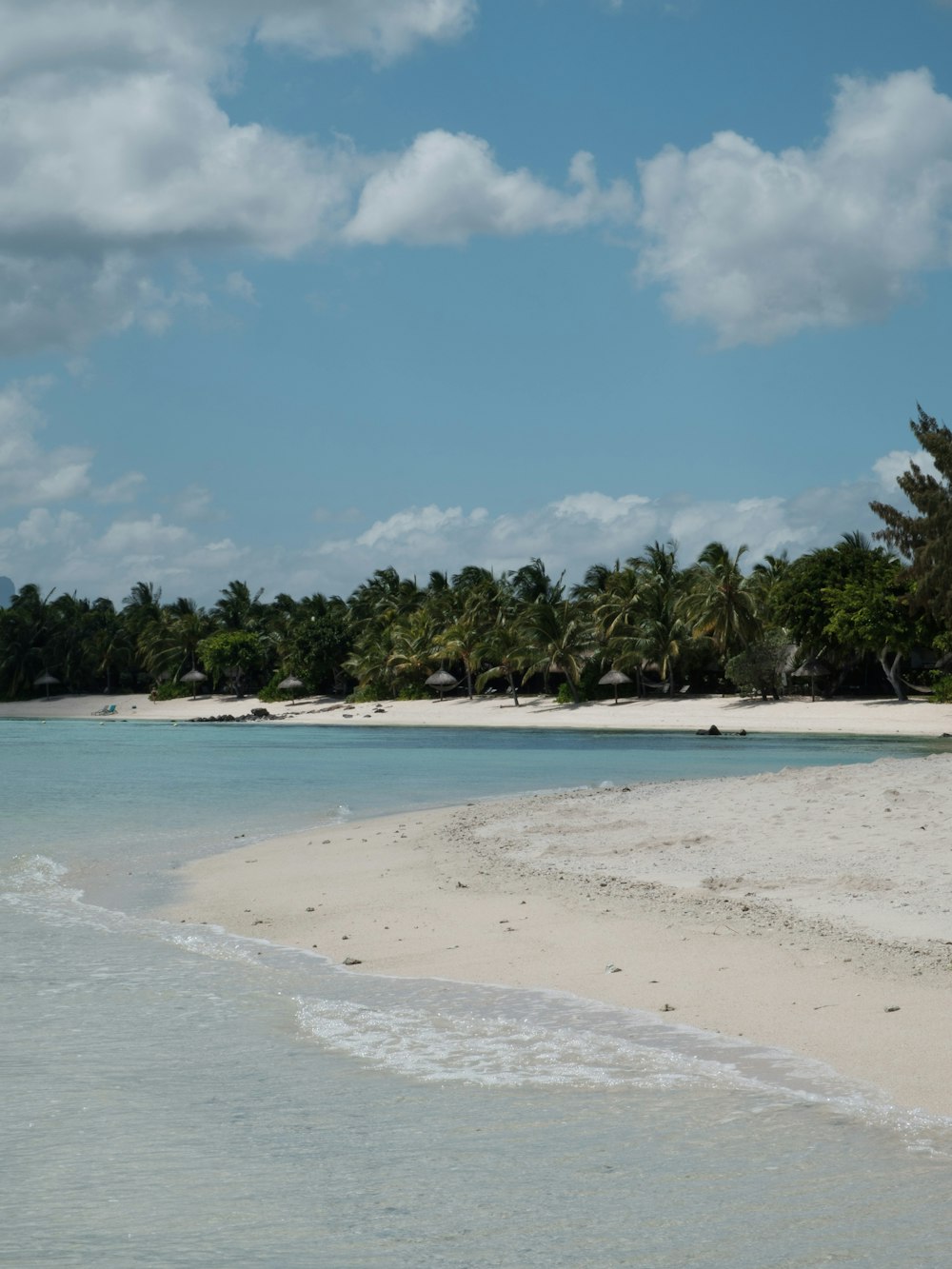 a sandy beach with palm trees in the background