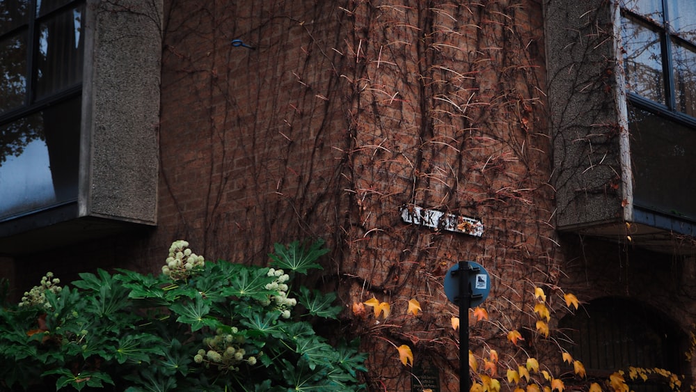 un bâtiment avec un arbre et un parcomètre devant