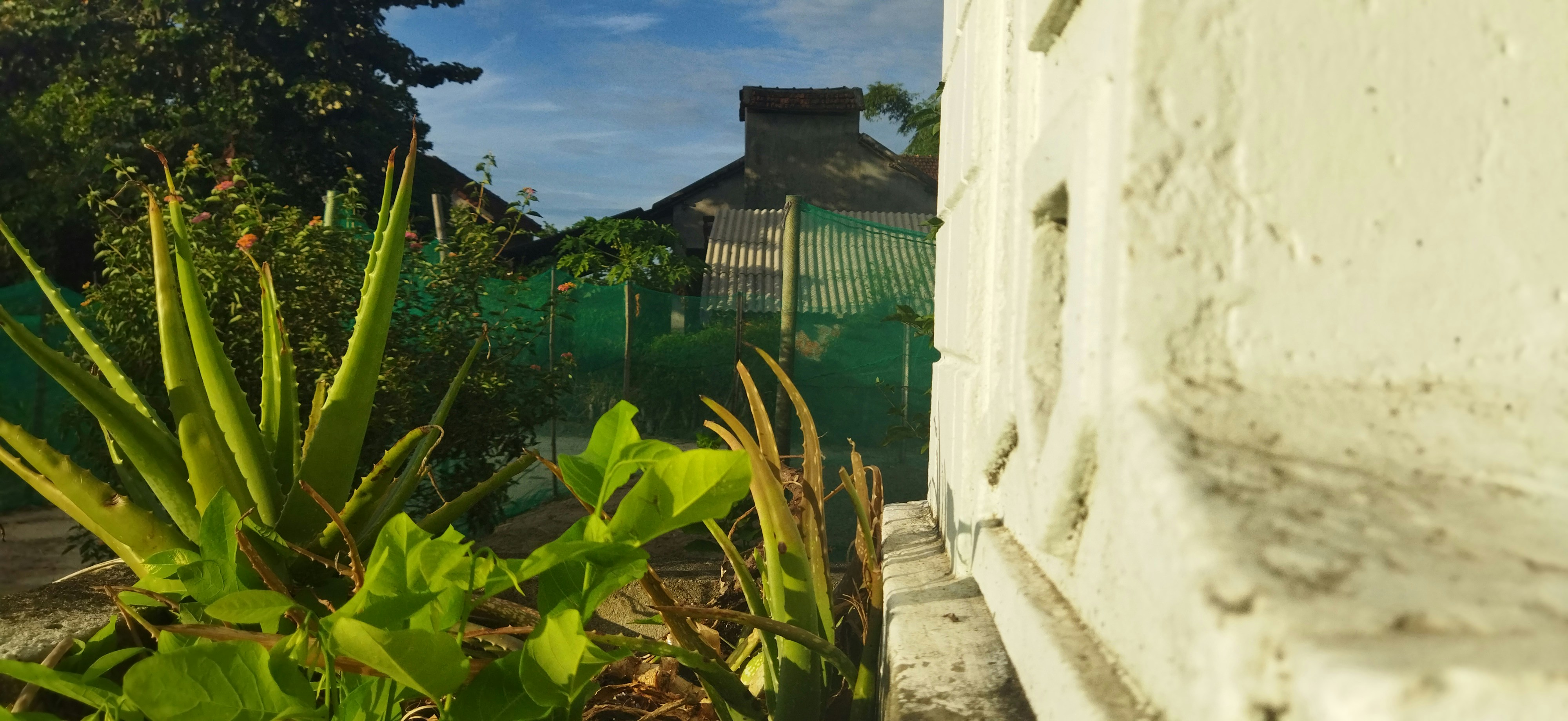 Blick auf ein Haus durch ein Fenster
