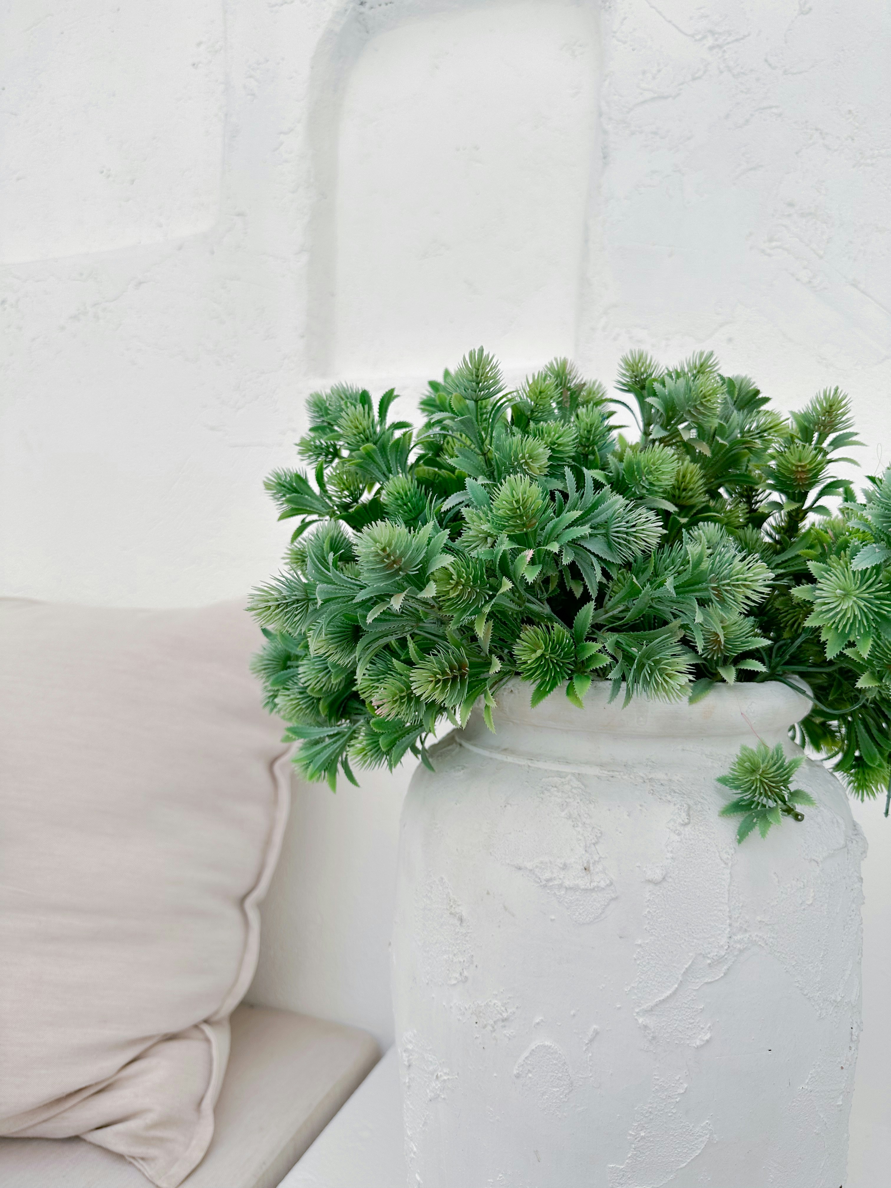 A potted plant sitting on top of a white table photo – Free Green Image ...