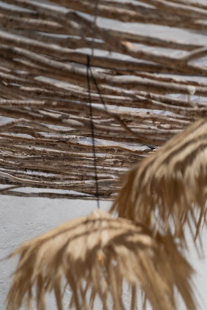 Artistic wooden wall hanging with natural patterns and warm tones.