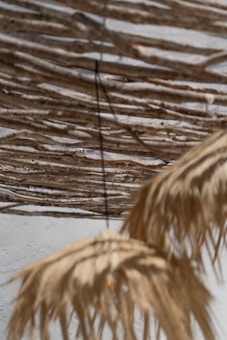 A textured wall made of overlapping wooden branches creates an intriguing pattern. In the foreground, strands of dried palm leaves hang down, casting soft shadows and adding a natural, rustic element.