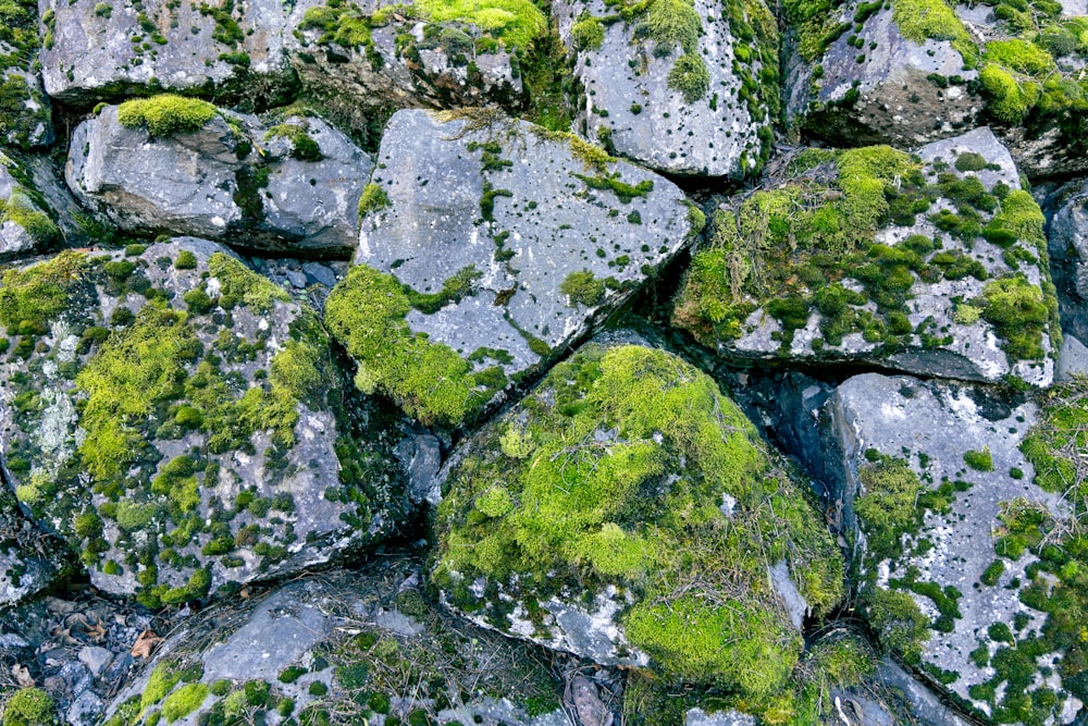 a pile of rocks covered in green moss