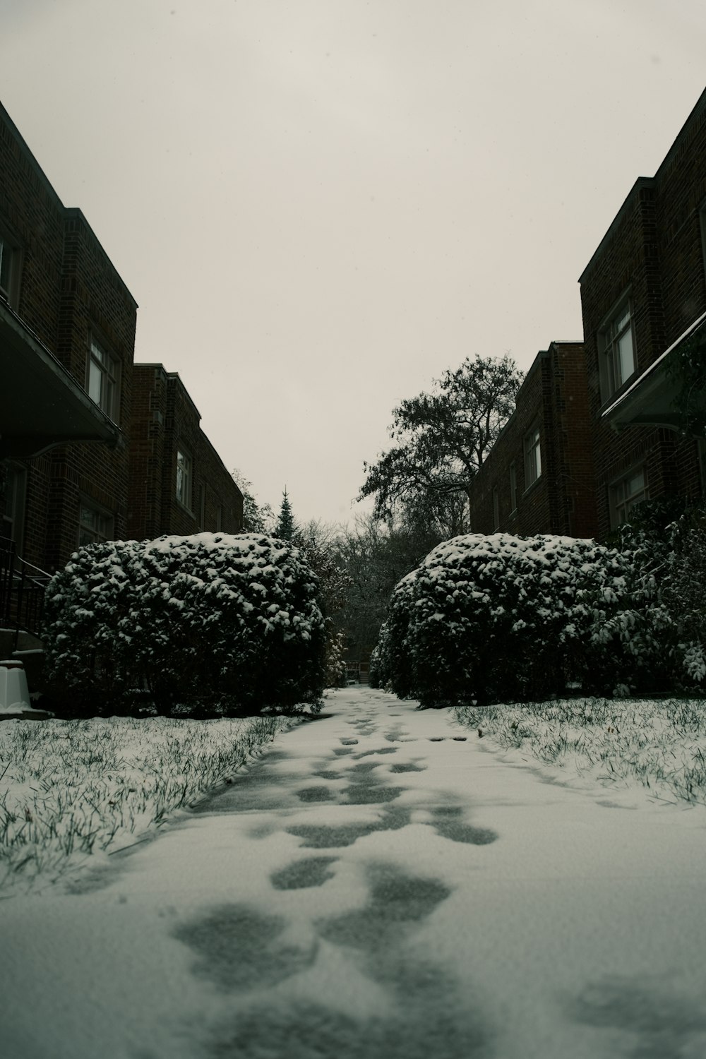 a snow covered pathway between two buildings