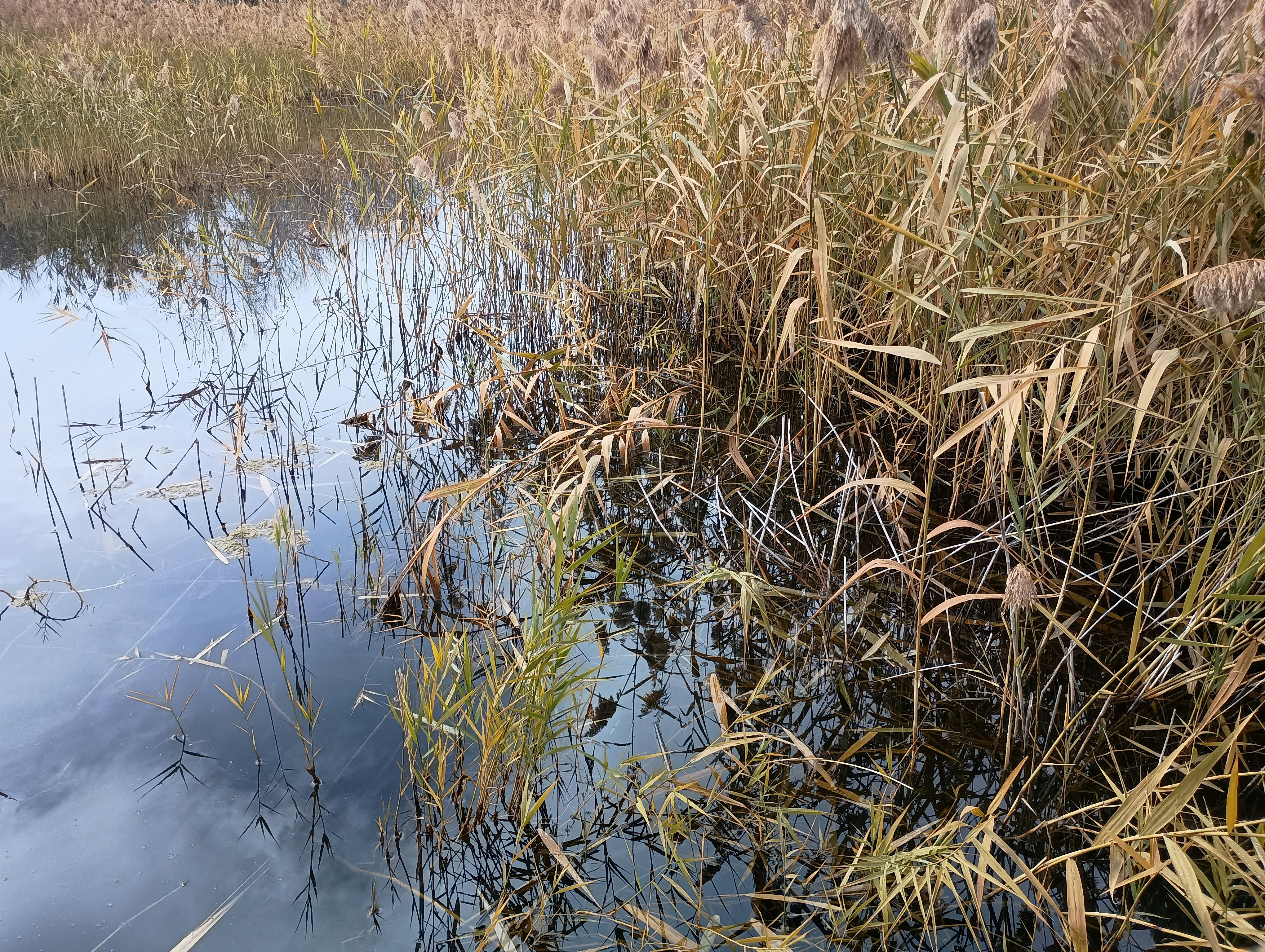 Photo by serasmith1999