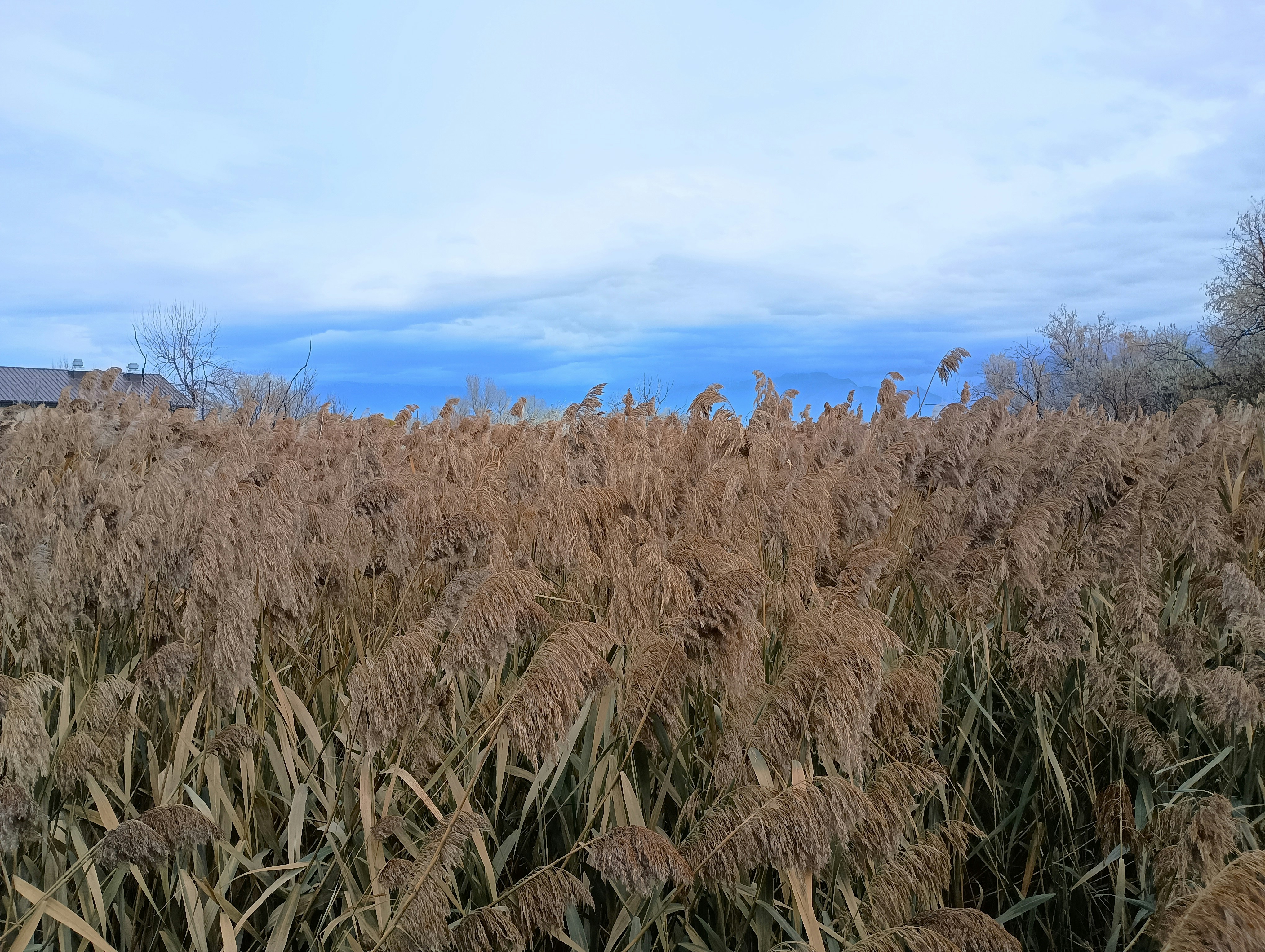 Photo by serasmith1999