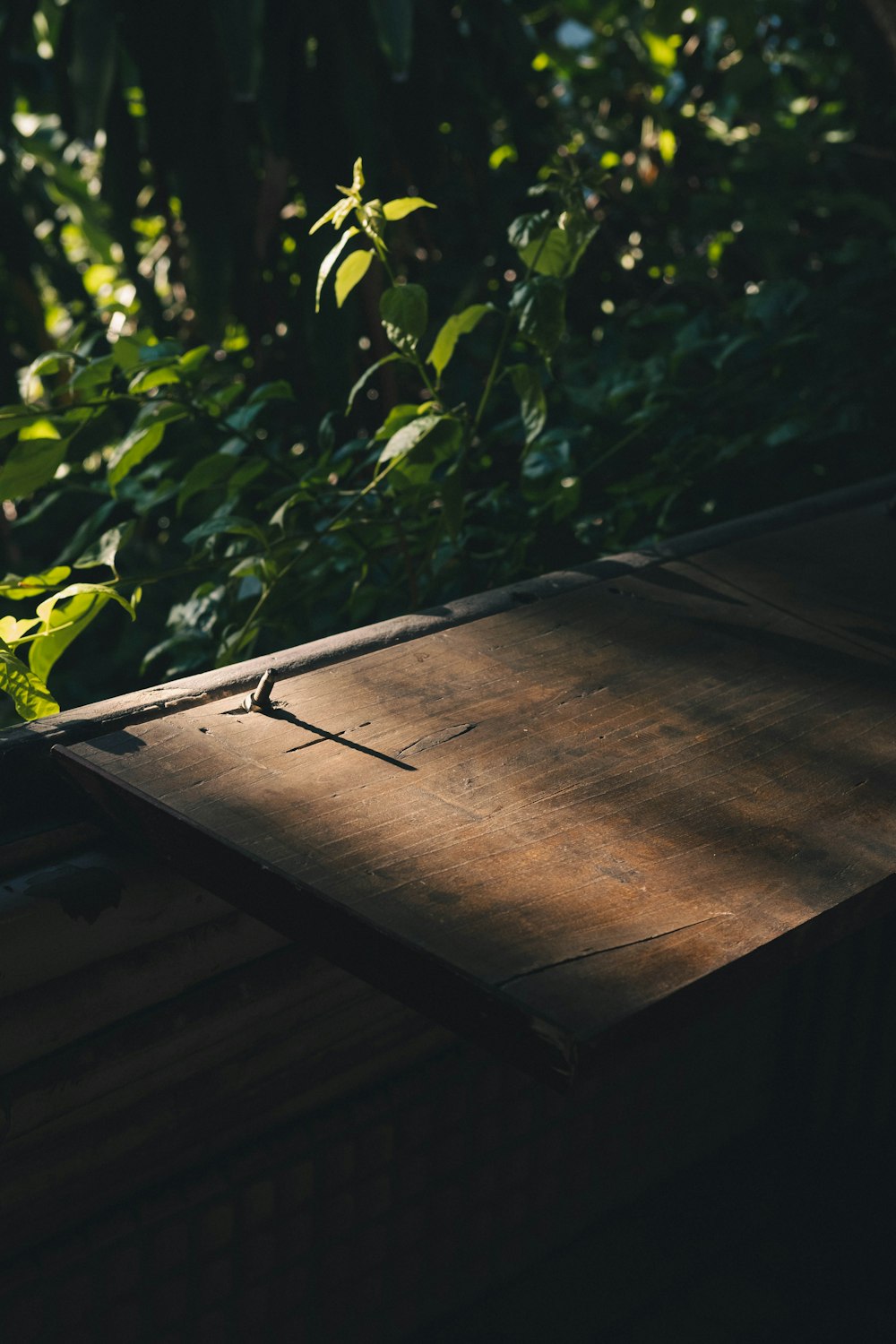 a wooden box sitting on top of a lush green forest