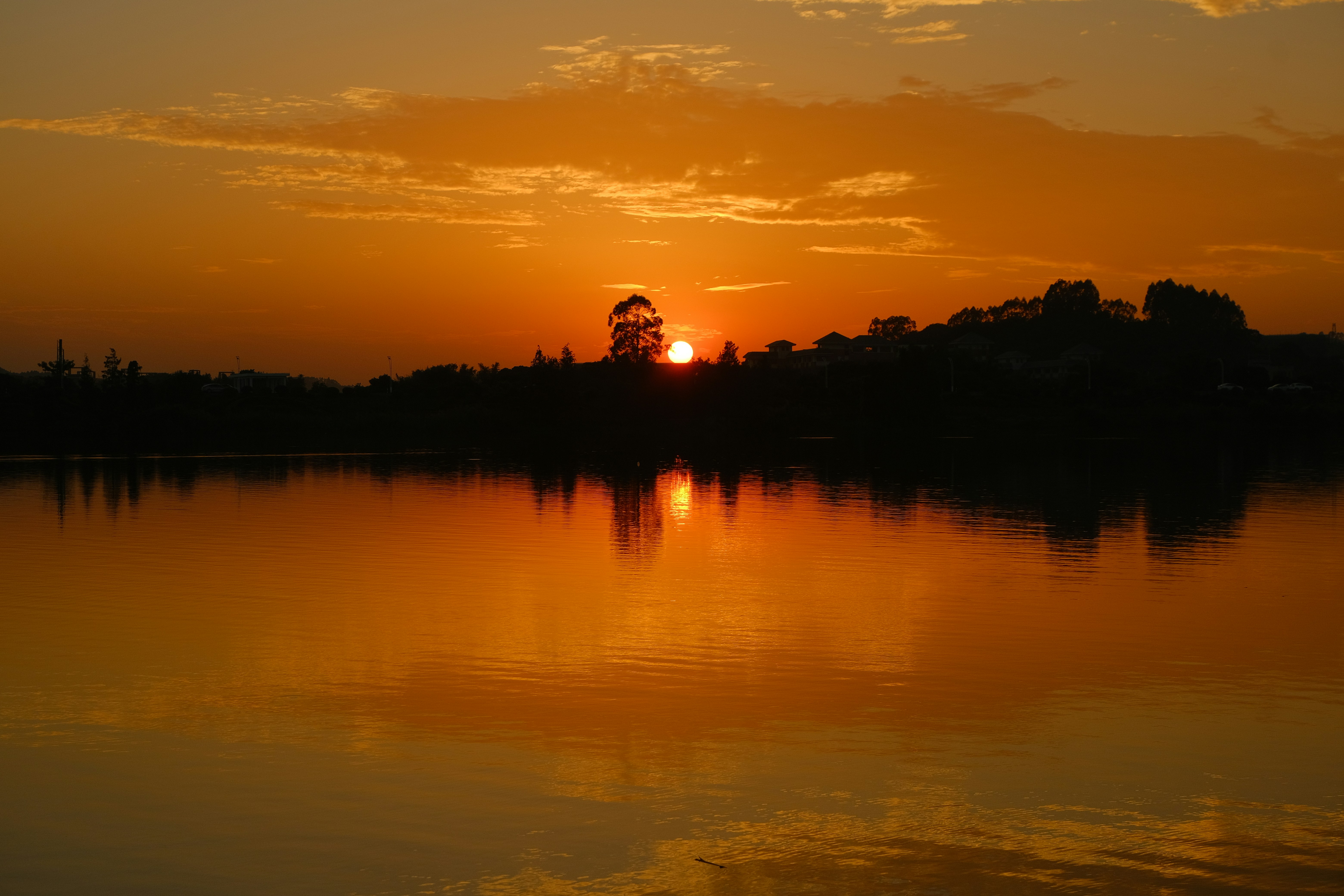 Book Your First Session