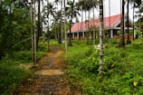 A quaint rural house with a red roof is nestled amid tall palm trees and lush green vegetation. A narrow pathway leads to the house, surrounded by dense greenery, conveying a serene and idyllic countryside setting.