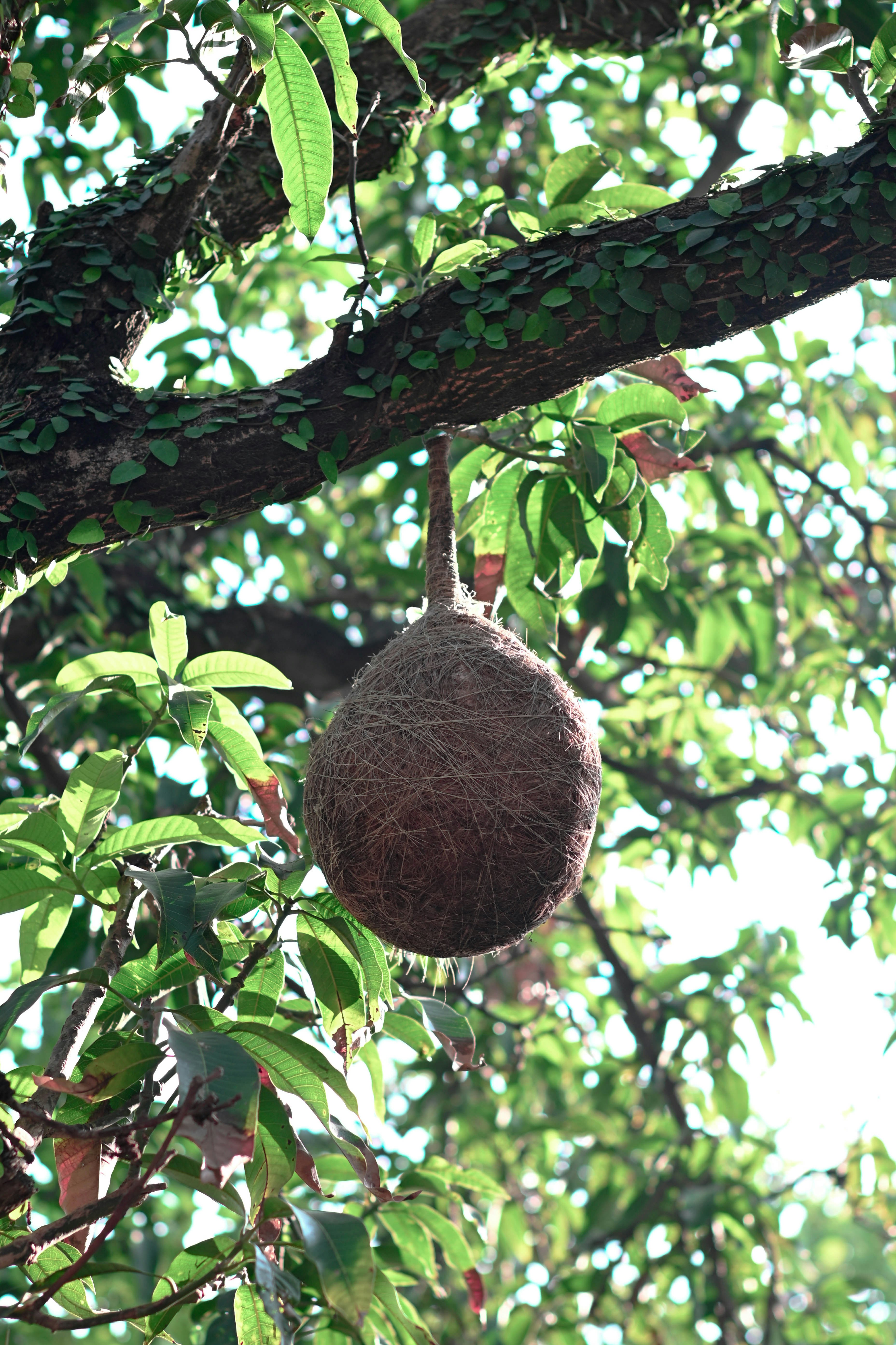 Photo by hellolasercuts