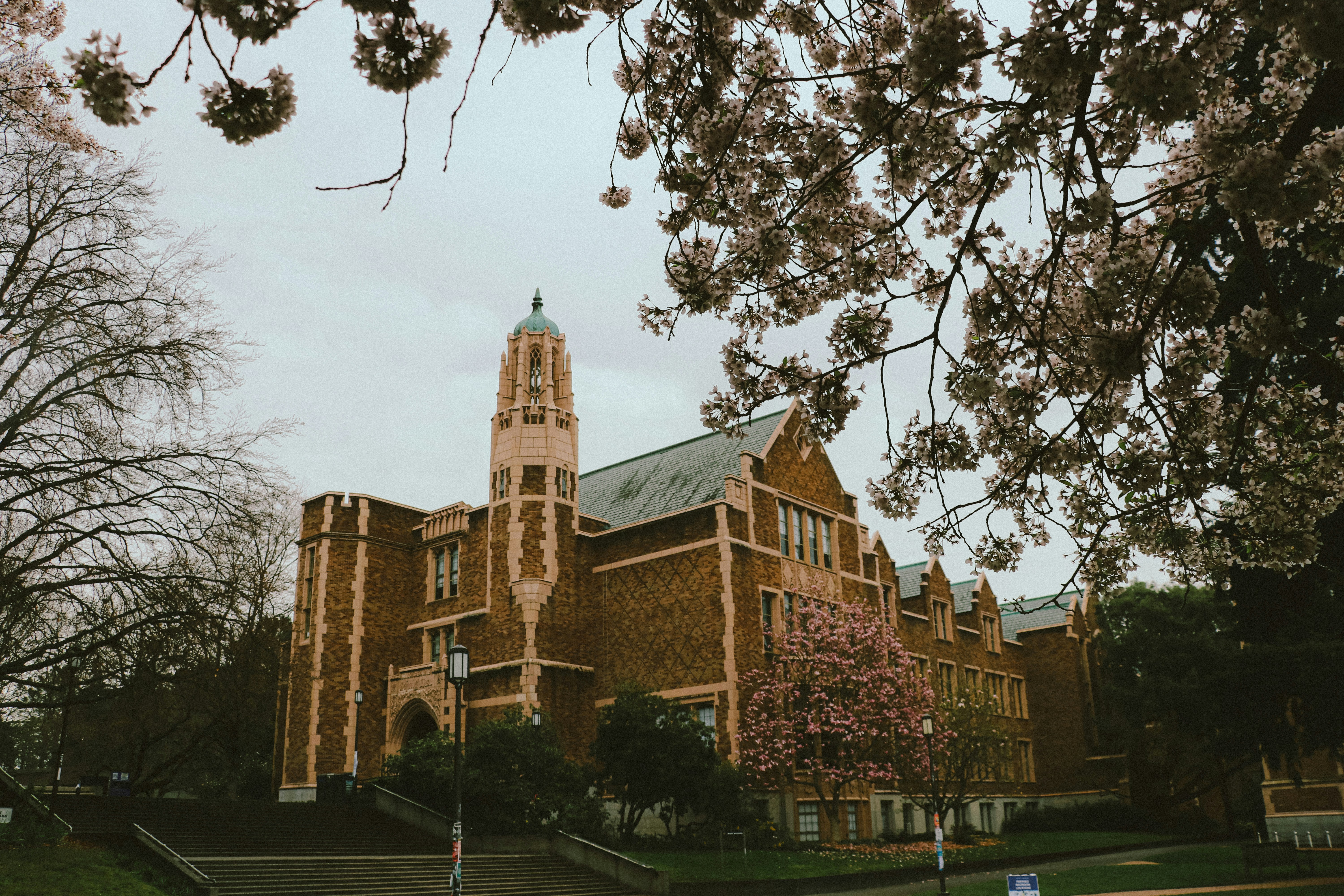 Photo by lokeshlens88