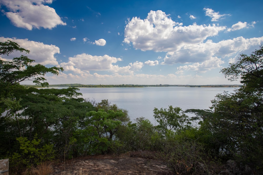 a large body of water surrounded by trees