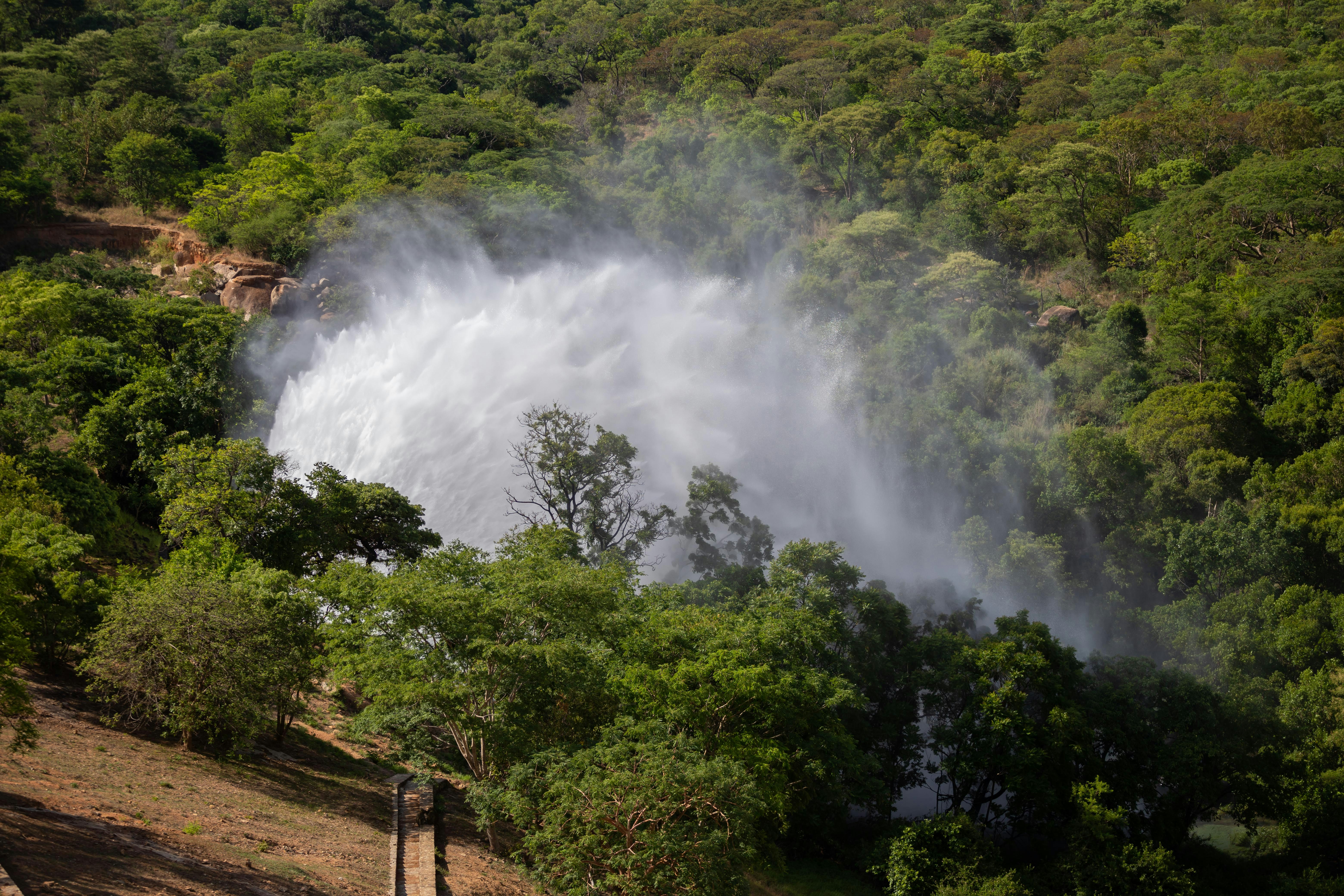 Banket (Dutch Christmas Log)