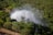 A powerful waterfall cascades through lush green forest, creating a cloud of mist that rises into the air. The dense foliage surrounds the rushing water, with various shades of green dominating the landscape. The scene is lively and full of natural energy.