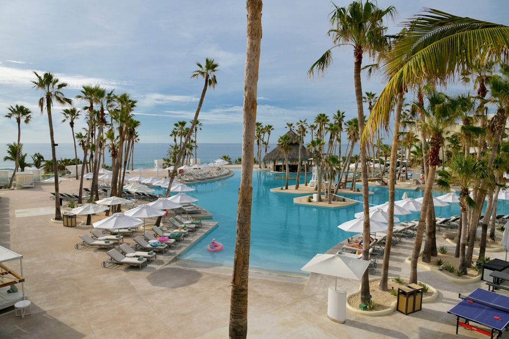 a beach resort with a pool and palm trees