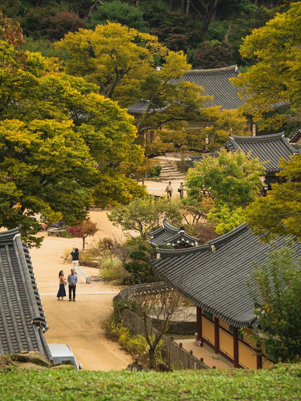 a group of people walking down a path next to trees