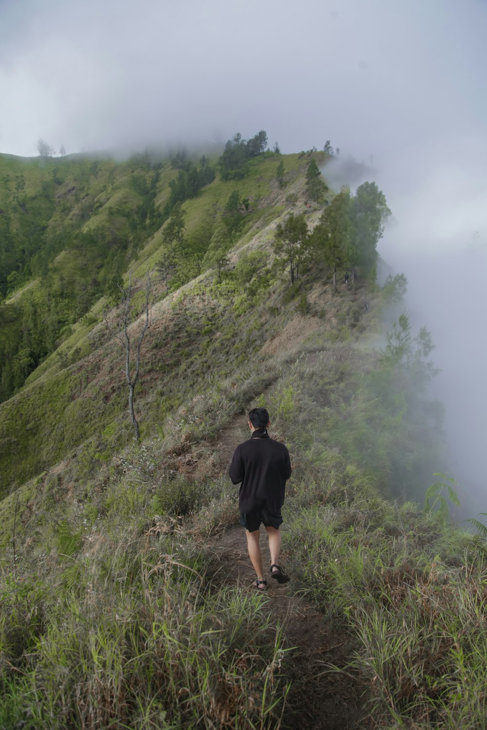 a man walking up a hill on a foggy day