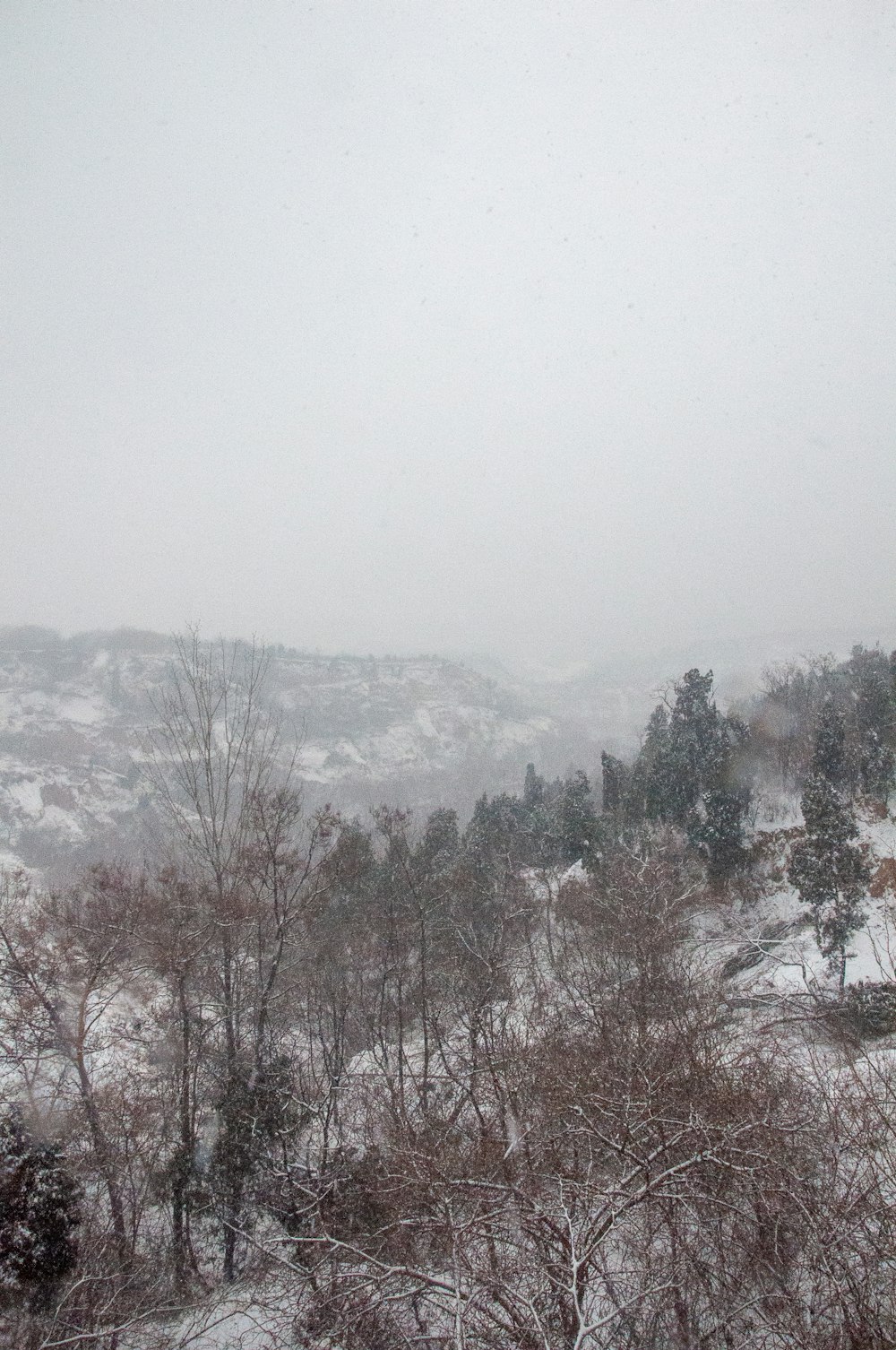 a snowy landscape with trees and mountains in the background