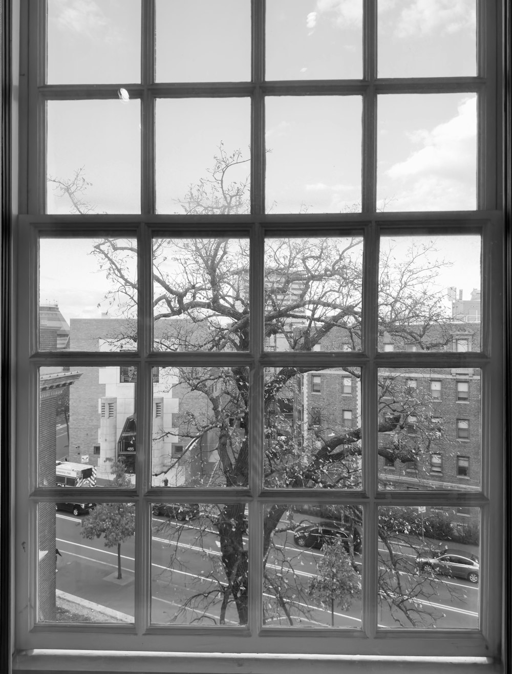 a black and white photo of a tree outside a window