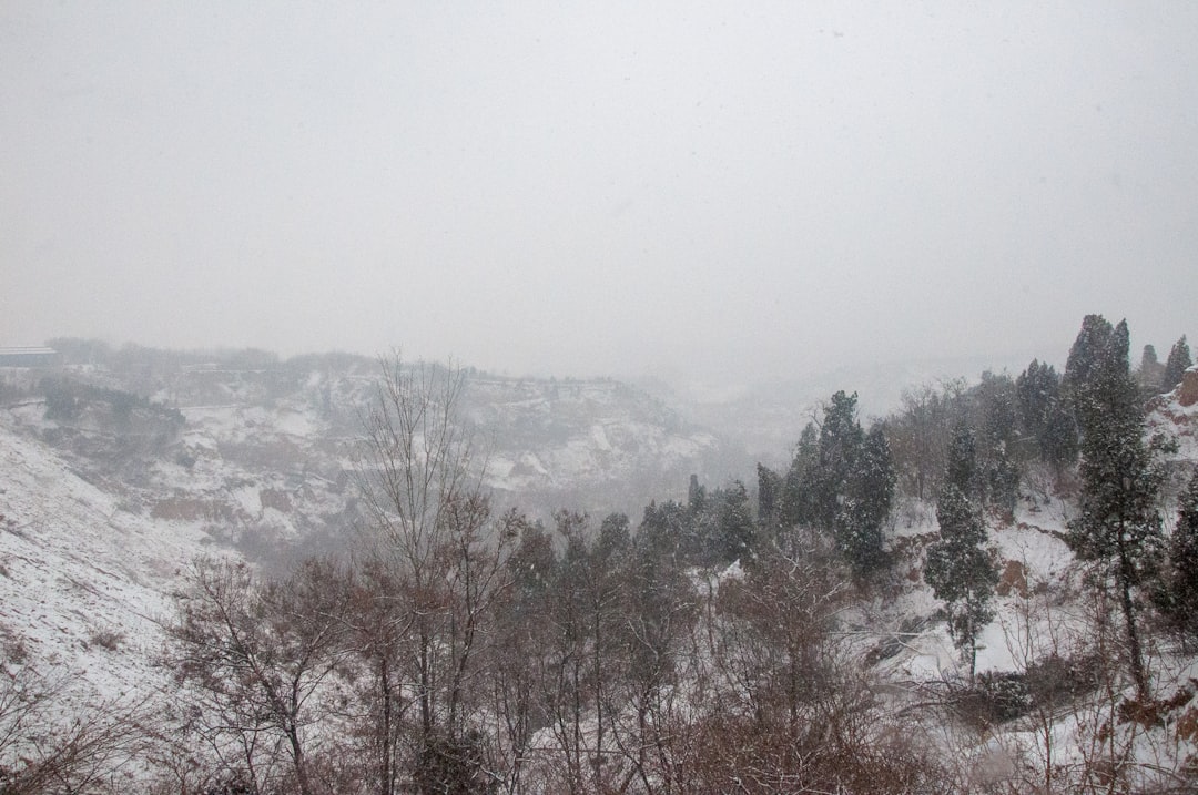 a snow covered mountain with trees and a bridge in the distance,