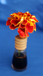 Kumkumadi tailam bottle surrounded by marigold flowers and cultural motifs from Indian states.