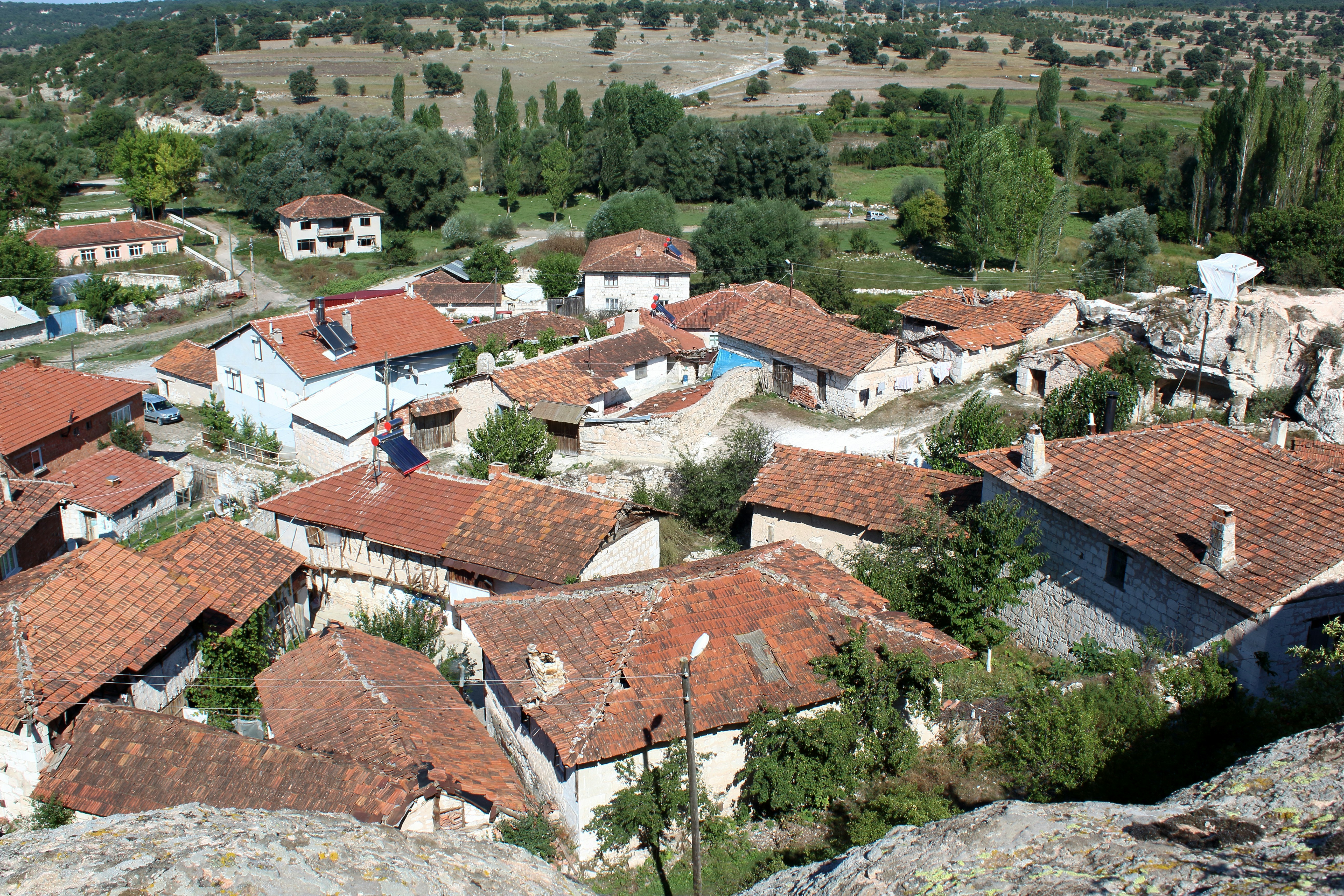 Aerial village view with red roofs