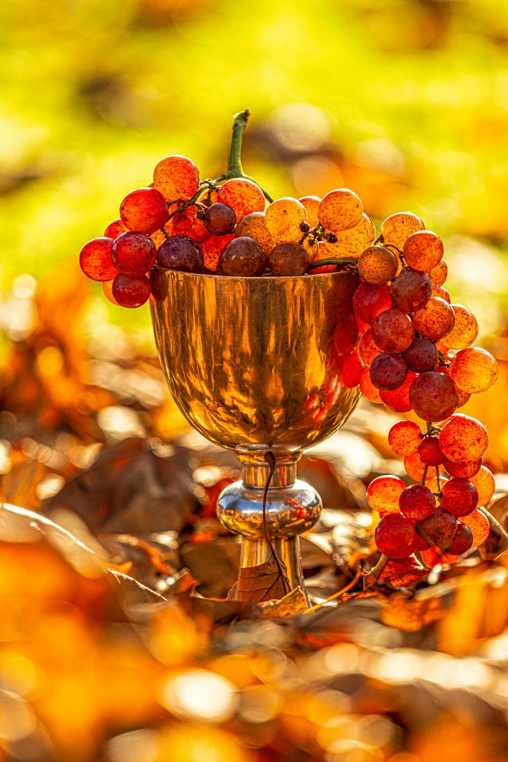 a golden chalice with a bunch of grapes in it